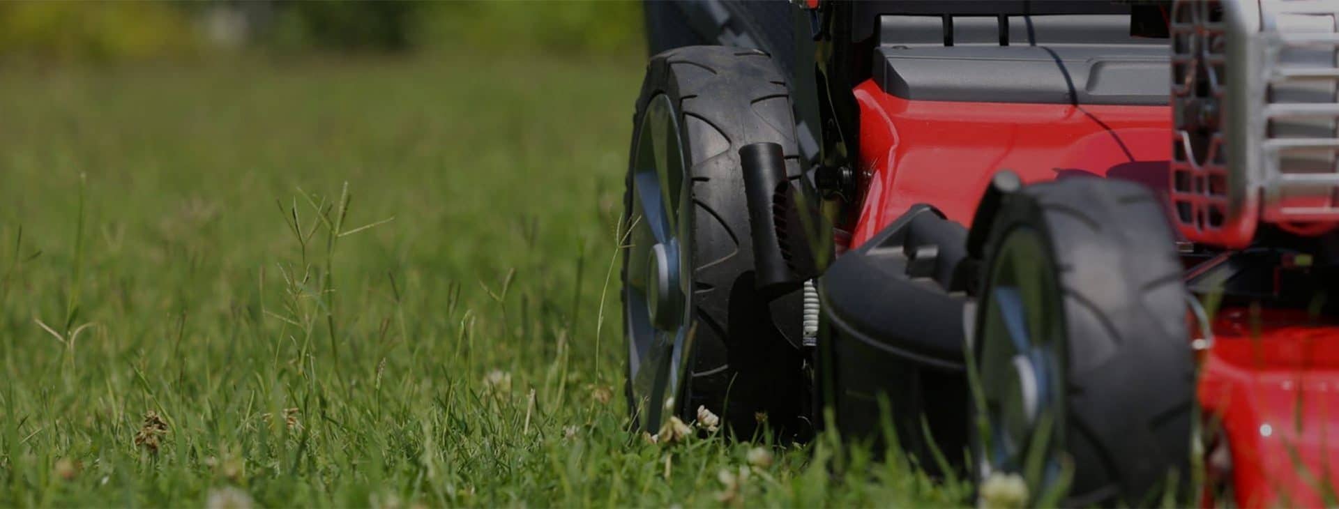 Your lawn and landscape
the way that it should